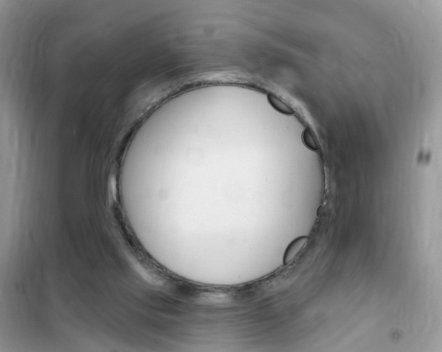 X0000102350061200808010945