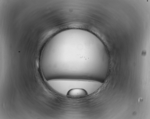 X0000102350062200808010945