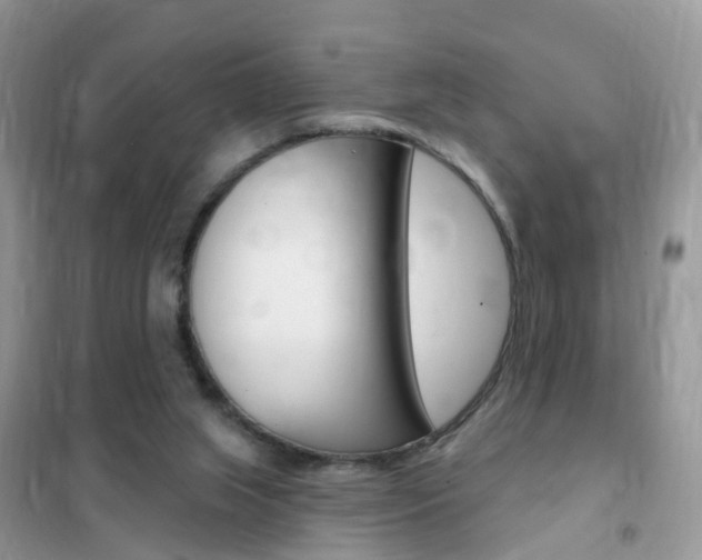 X0000102350063200808010945