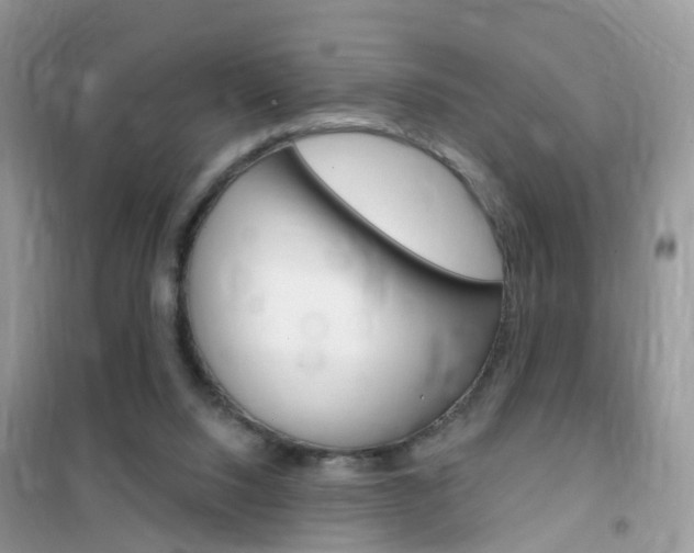 X0000102350064200808010945