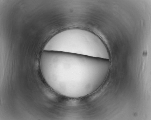 X0000102350065200808010945