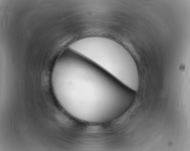 X0000102350066200808010945