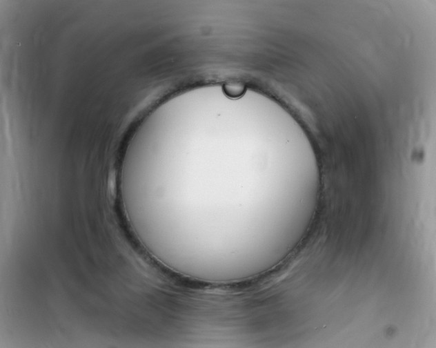 X0000102350067200808010945