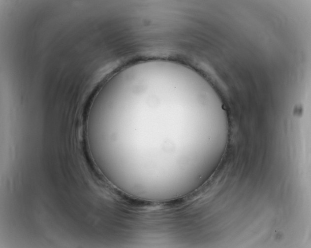 X0000102350068200808010945