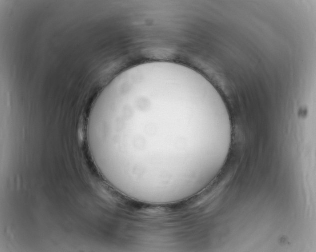 X0000102350069200808010945