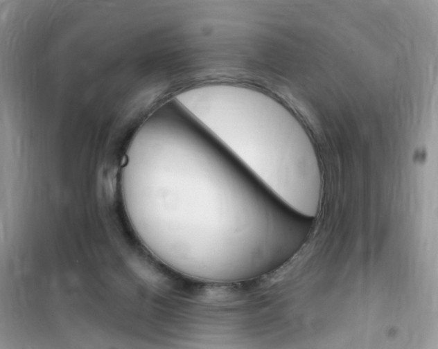 X0000102350070200808010945