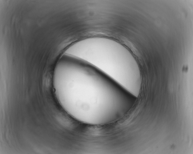 X0000102350071200808010945