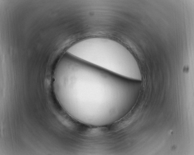 X0000102350072200808010945