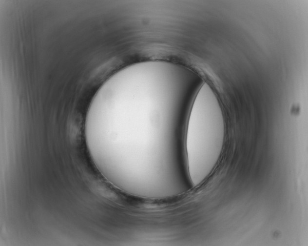 X0000102350073200808010945