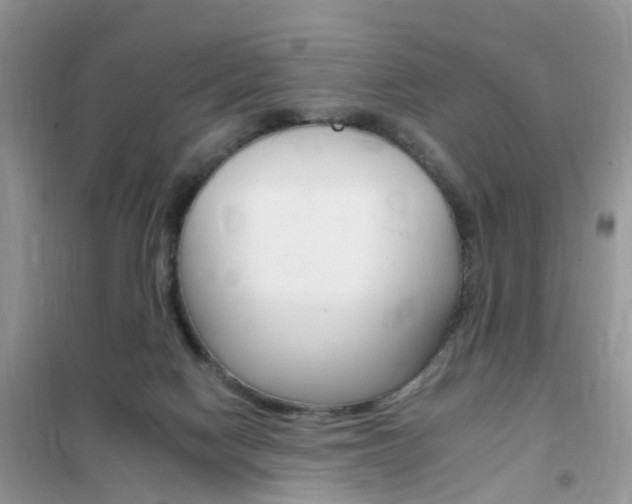 X0000102350074200808010945