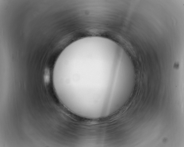 X0000102350075200808010945