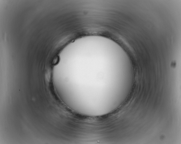 X0000102350076200808010945