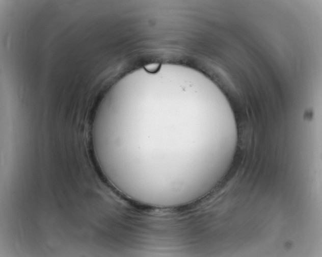 X0000102350077200808010945