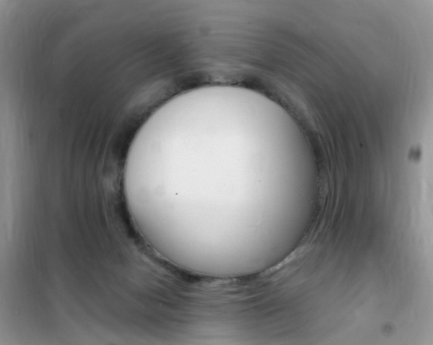 X0000102350078200808010945