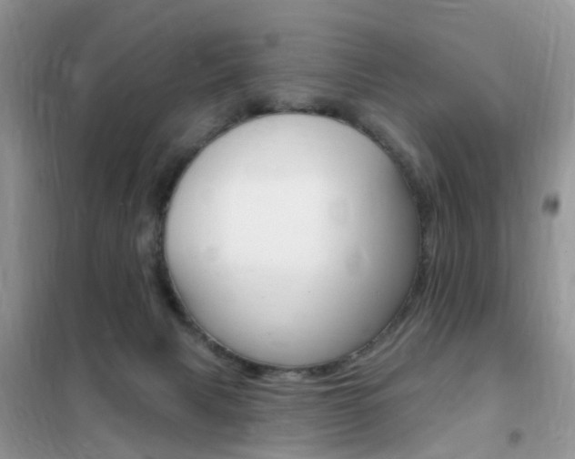 X0000102350079200808010945