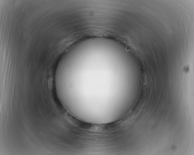 X0000102350080200808010945