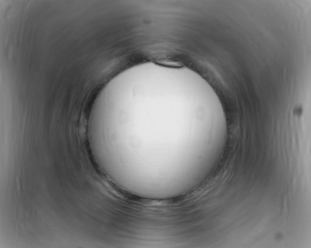 X0000102350081200808010945