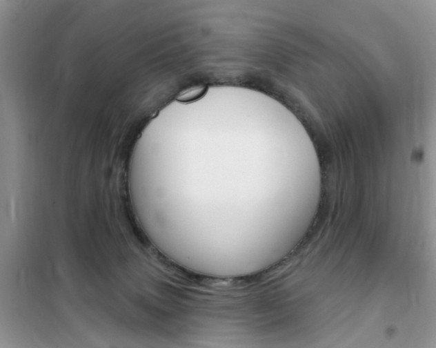 X0000102350083200808010946