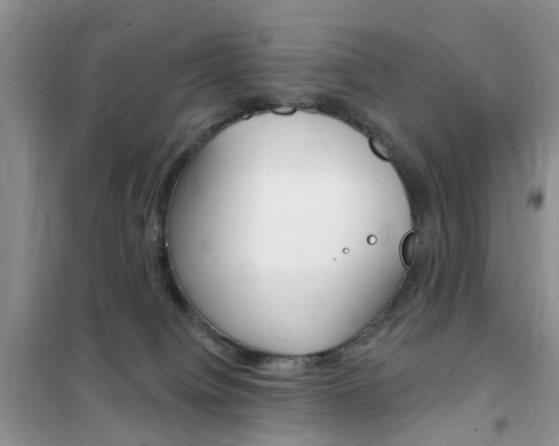 X0000102350084200808010946