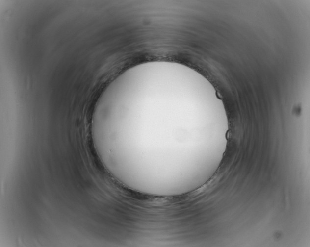 X0000102350086200808010946