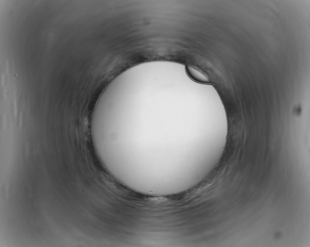 X0000102350087200808010946