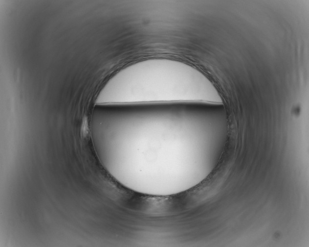 X0000102350089200808010946