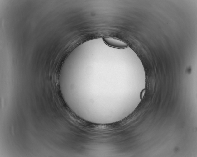 X0000102350091200808010946