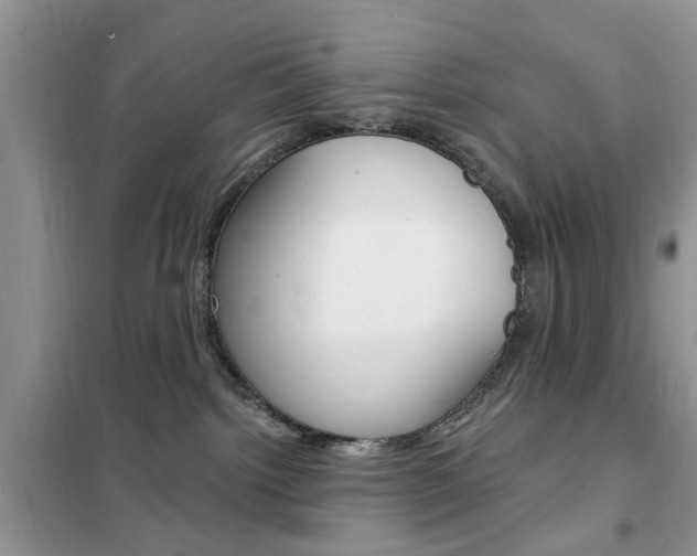 X0000102350092200808010946