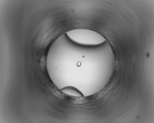 X0000102350093200808010946