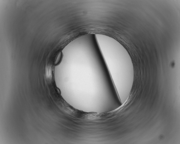 X0000102350094200808010946