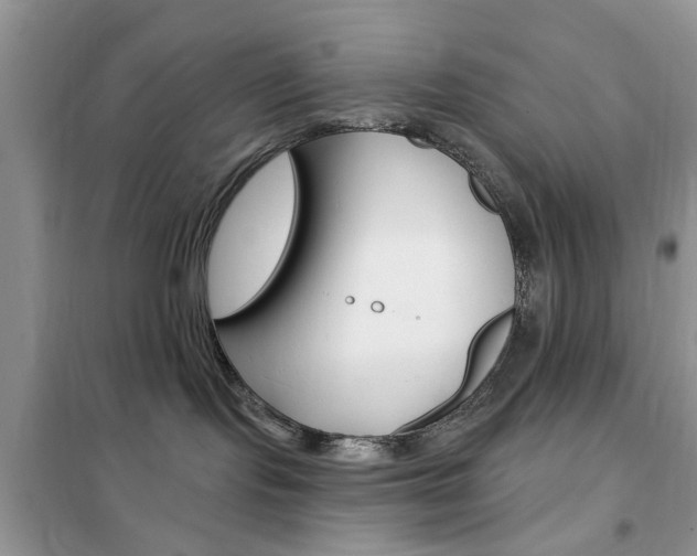 X0000102350095200808010946