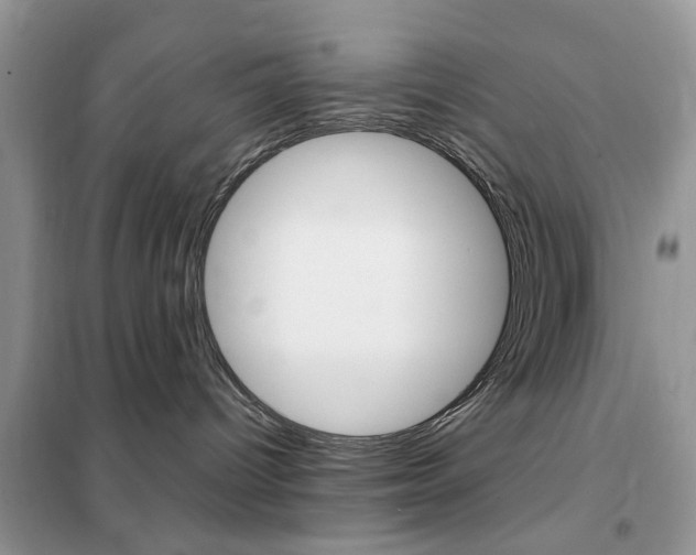 X0000102350096200808010946