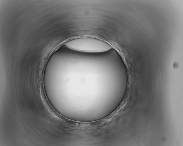 X0000102350097200808010945