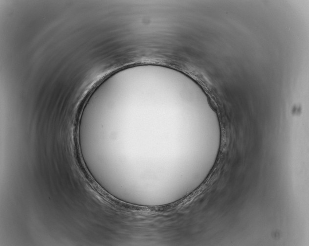 X0000102350098200808010945