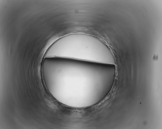 X0000102350099200808010945