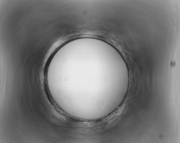 X0000102350102200808010945