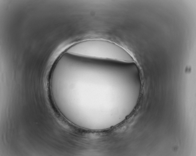 X0000102350103200808010945