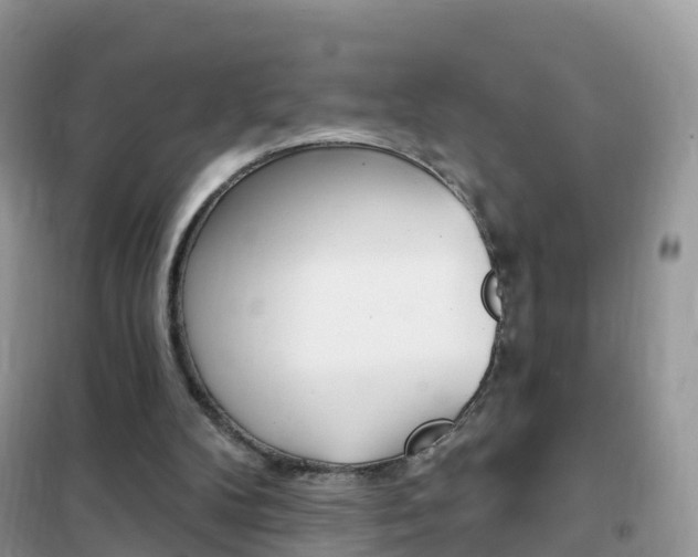 X0000102350104200808010945