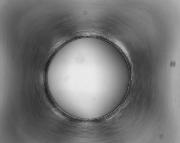 X0000102350105200808010945