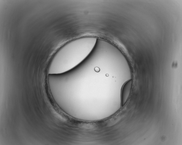 X0000102350106200808010945