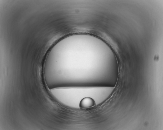 X0000102350107200808010945