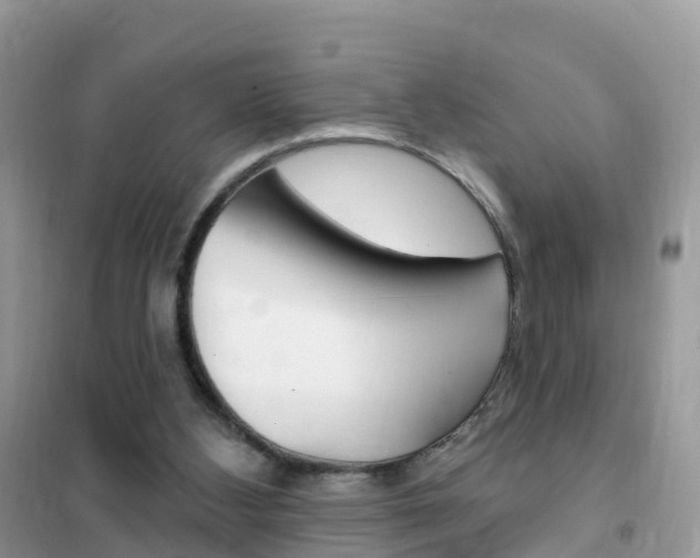 X0000102350108200808010945