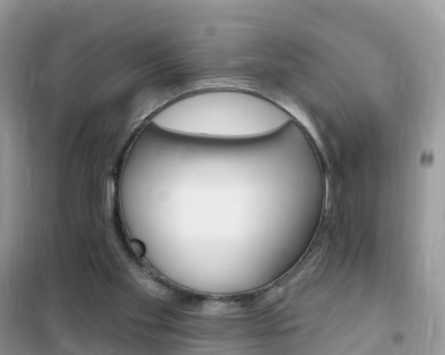 X0000102350109200808010945