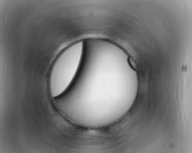 X0000102350111200808010945