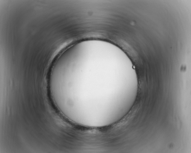 X0000102350112200808010945