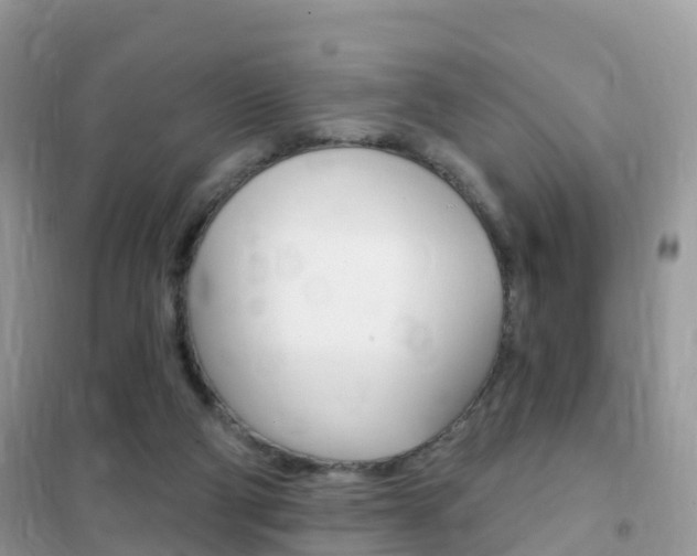 X0000102350114200808010945