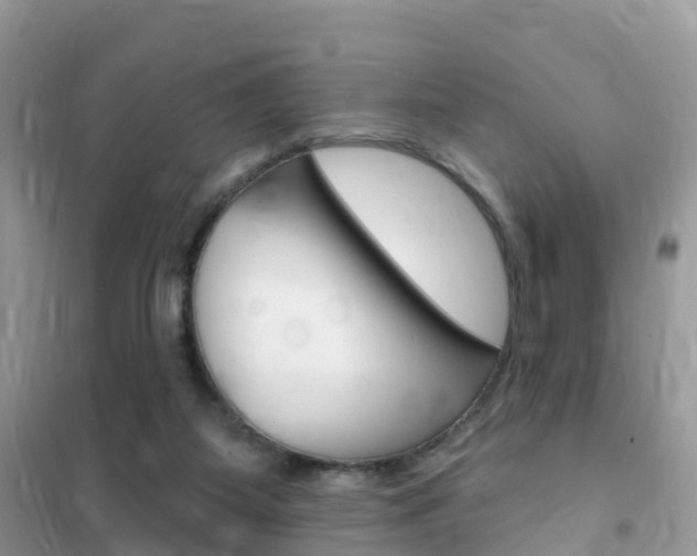 X0000102350115200808010945