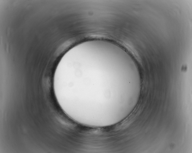 X0000102350116200808010945