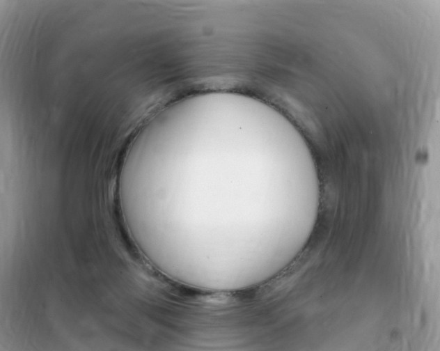 X0000102350118200808010945