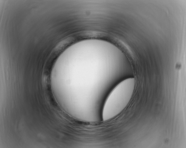 X0000102350119200808010945